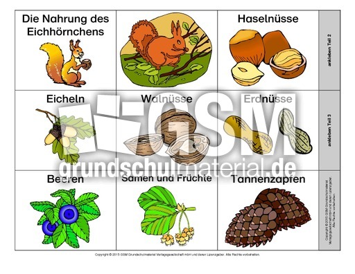 Leporello-Eichhörnchen-Ernährung-B.pdf